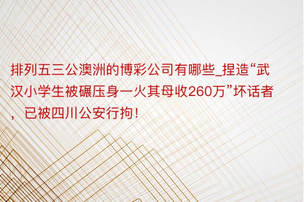 排列五三公澳洲的博彩公司有哪些_捏造“武汉小学生被碾压身一火其母收260万”坏话者，已被四川公安行拘！