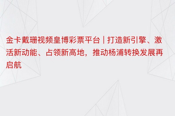 金卡戴珊视频皇博彩票平台 | 打造新引擎、激活新动能、占领新高地，推动杨浦转换发展再启航