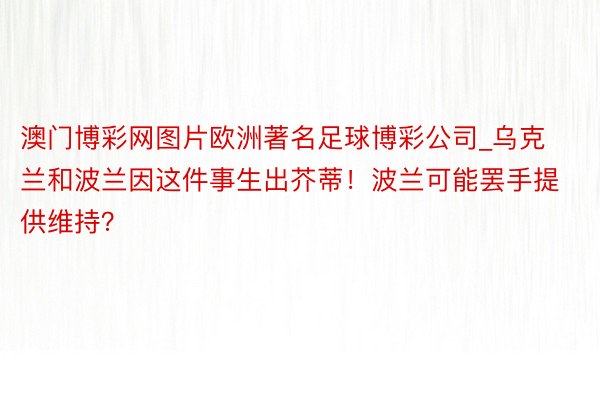 澳门博彩网图片欧洲著名足球博彩公司_乌克兰和波兰因这件事生出芥蒂！波兰可能罢手提供维持？